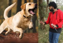 அநீதிக்கு எதிராகப் போராடும் நாய் !