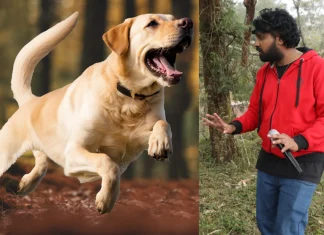 அநீதிக்கு எதிராகப் போராடும் நாய் !